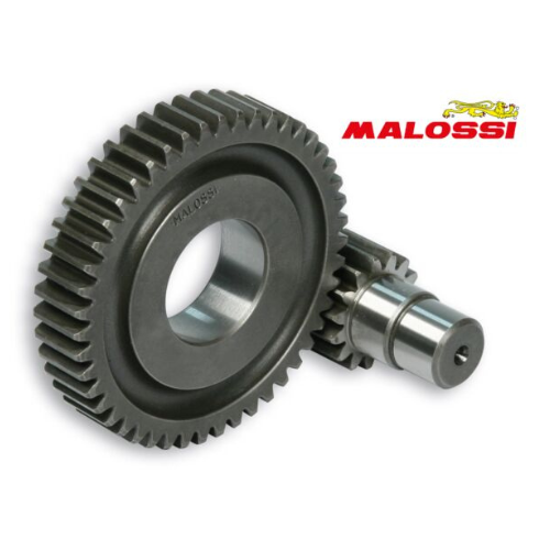 Malossi secundaire overbrenging Piaggio 15/47