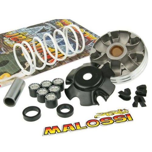 Malossi variateur